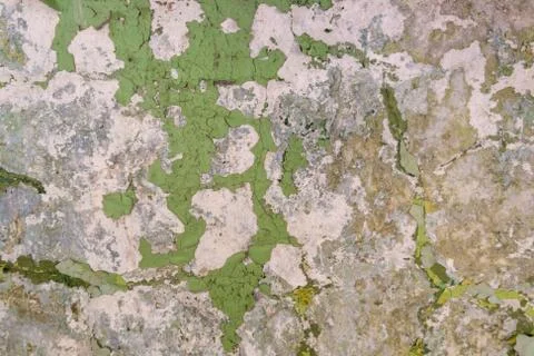 Ground, Wall surface texture for decoration background Stock Photos