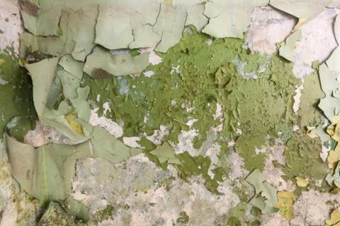 Ground, Wall surface texture for decoration background Stock Photos
