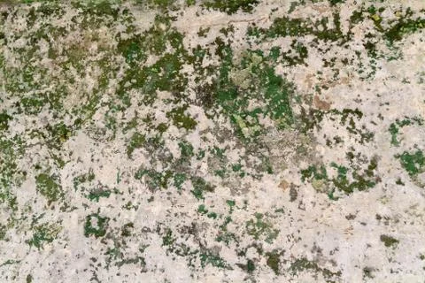 Ground, Wall surface texture for decoration background Foto stock