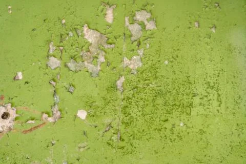Ground, Wall surface texture for decoration background Foto stock