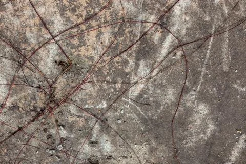 Ground, Wall surface texture for decoration background Stock Photos