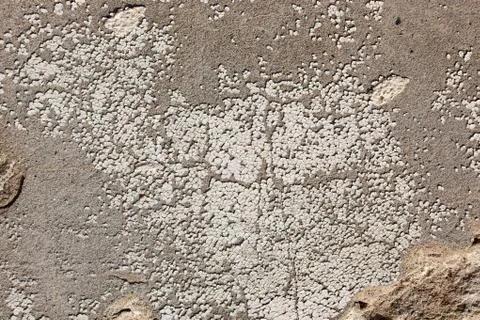 Ground, Wall surface texture for decoration background Stock Photos