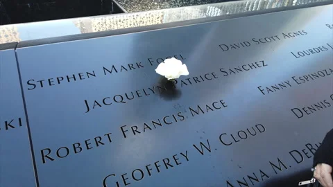 Ground Zero 1 Stock Footage 155944833