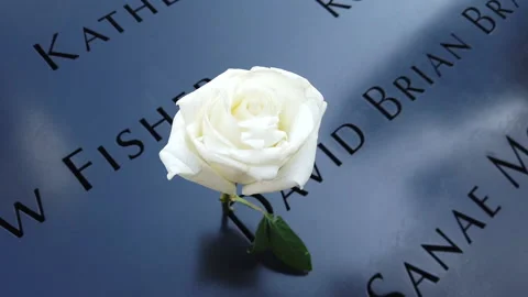 Ground Zero 4 스톡 동영상 155945695