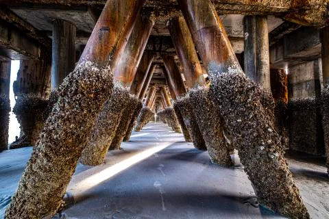 Ground Zero underneath the pier Stock Photos