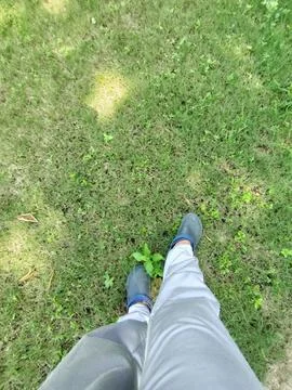 Grounded View: Steps on Green Grass Stock Photos