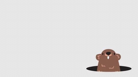 Groundhog animation, funny Groundhog Day illustration, transparent 4K Stock Footage 231741452