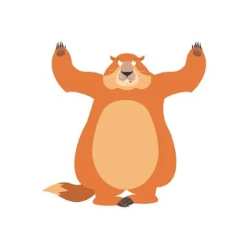 Groundhog confused oops. Woodchuck perplexed emotions. Marmot surprise. Groun Stock Illustration