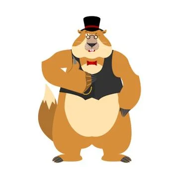 Groundhog day. Groundhog in hat thumbs up and winks. Woodchuck happy emoji. V 스톡 일러스트