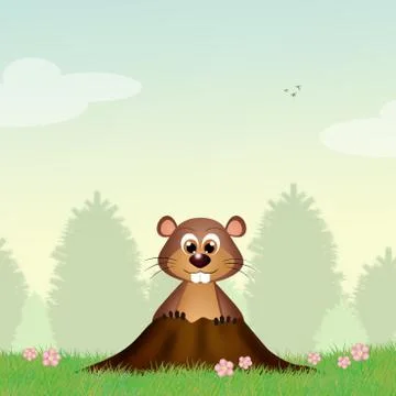 Groundhog in the den Stock Illustration