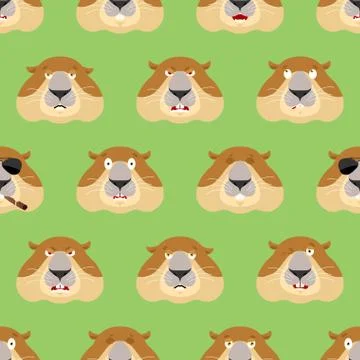 Groundhog head pattern. Woodchuck background. Ornament face Marmot. Groundhog Stock Illustration