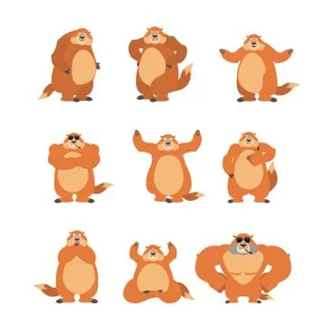 Groundhog set poses and motion. Woodchuck happy and yoga. Marmot sleeping and Stock Illustration
