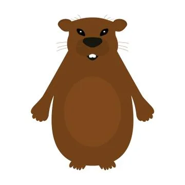 Groundhog on a white background. Stock Illustration