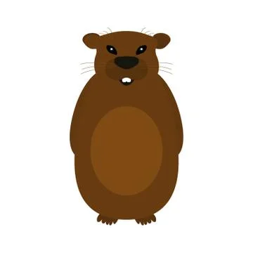 Groundhog on a white background. Stock Illustration