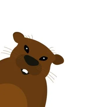 Groundhog on a white background. Stock Illustration