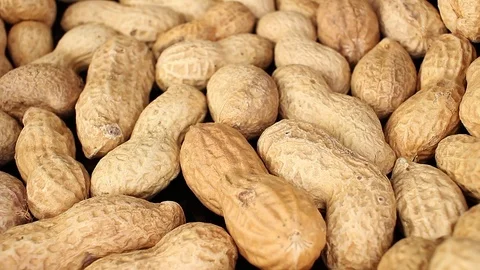 Groundnut peanut groundnuts peanuts texture pattern on rotating plate food hd Stock Footage 98390523