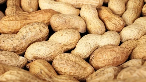 Groundnut peanut groundnuts peanuts texture pattern on rotating plate food hd Stock Footage 98390704