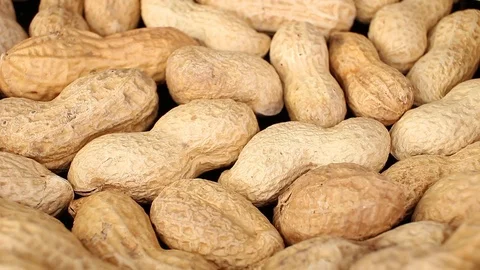Groundnut peanut peanuts with nutshell peanut shell groundnuts Stock Footage 110617264