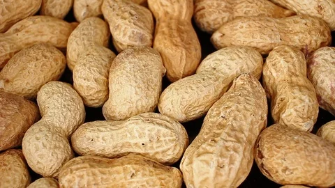 Groundnut peanut on rotating plate seamless looping hd background cover video Stock Footage 107614439