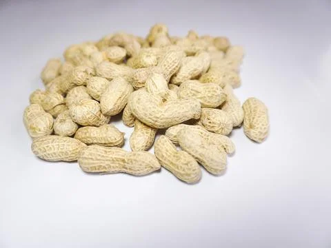 Groundnut Stock Photos