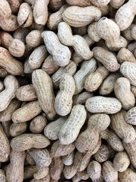 Groundnuts abstract background and texture Stock Photos