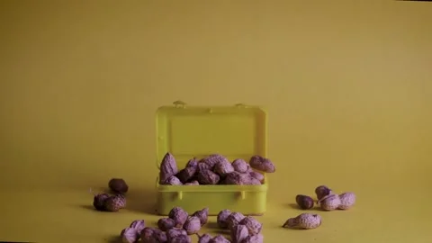 Groundnuts kept in a yellow box Stock Footage 212789673