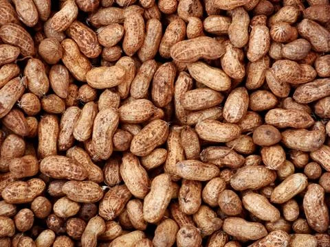 Groundnuts Stock Photos