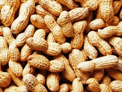 Groundnuts Stock Photos