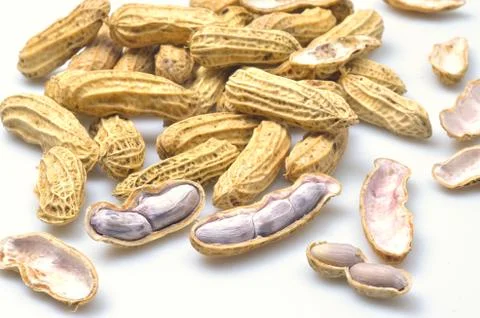 The groundnuts with white background Stock Photos