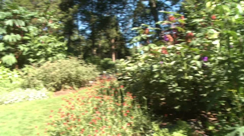 Grounds of Bartlett Arboretum (4 of 7) Stock-Footage 32029214