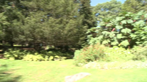 Grounds of Bartlett Arboretum (5 of 7) Stock Footage 32029241