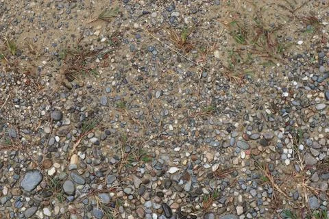 Groundscape with pebbles, sand, and sparse vegetation under natural light Stock Photos