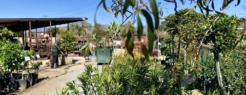 Groundskeeper in nursery Stock Footage 126260578