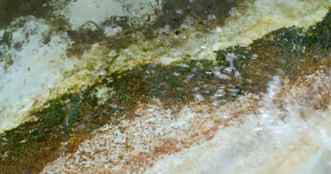 Groundwater stored in a pond develops algae and debris, showing water quality. Stock Footage 323260014