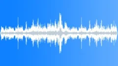 Group of 1619 Year Sound Effect