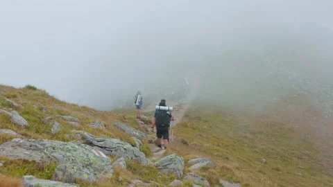 Group adventure in the tranquil wilderness during a misty hiking journey Stock Footage 305829574