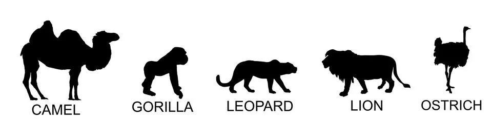 Group of African animals collection vector silhouette illustration Stock Illustration