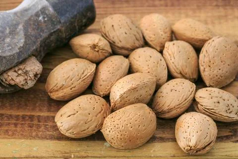 Group of almonds with hammer Stock Photos
