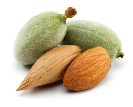 Group of almonds isolated on white Stock Photos