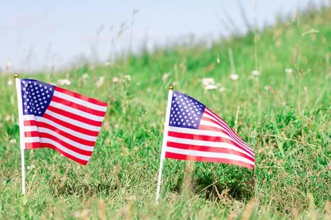 A group of American flags. Tiny flags in a field. Veterans tribute Stock Photos