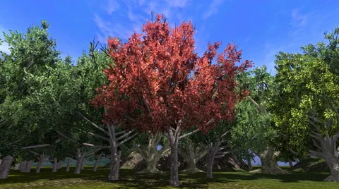 Group of Animated Trees, Blowing in Wind (4k):  looping Stock Footage 61919153