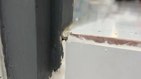Group of ant walking across a ceramic tile floor inside a home near a bathroom. Stock Footage 336775456