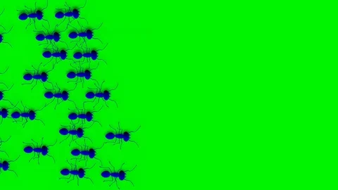 GROUP OF ANTS ARE WALKING Video stock 71222937