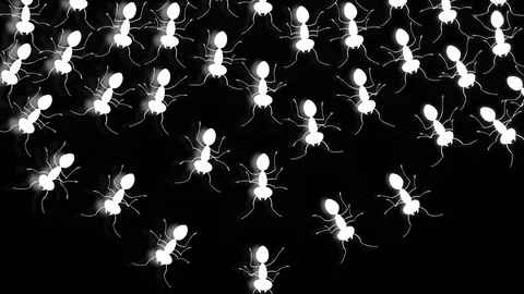 GROUP OF ANTS ARE WALKING Video stock 71241550