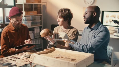 Group of Archaeologists Analyzing Skull and Drawing Sketch in Laboratory Stock Footage 296517787