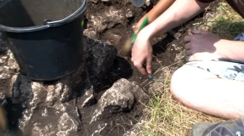 Group of archaeologists that cleans the ground with brush and palette knife Stock Footage 63390262