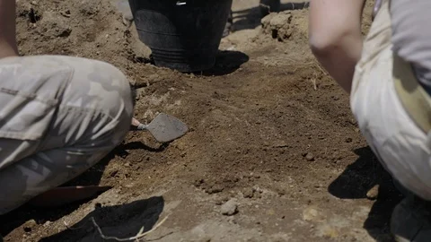 Group of archaeologists digging the soil at an archaeological site Stock Footage 113426191