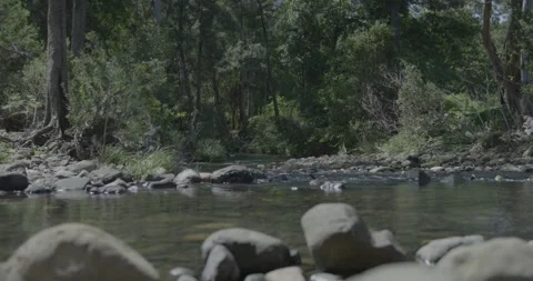 Group of Armed Viking Charge Towards Battle Up A River In A Forest Stock Footage 259435791