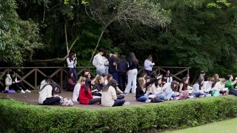  Group of art students drawing Stock Footage 276445370