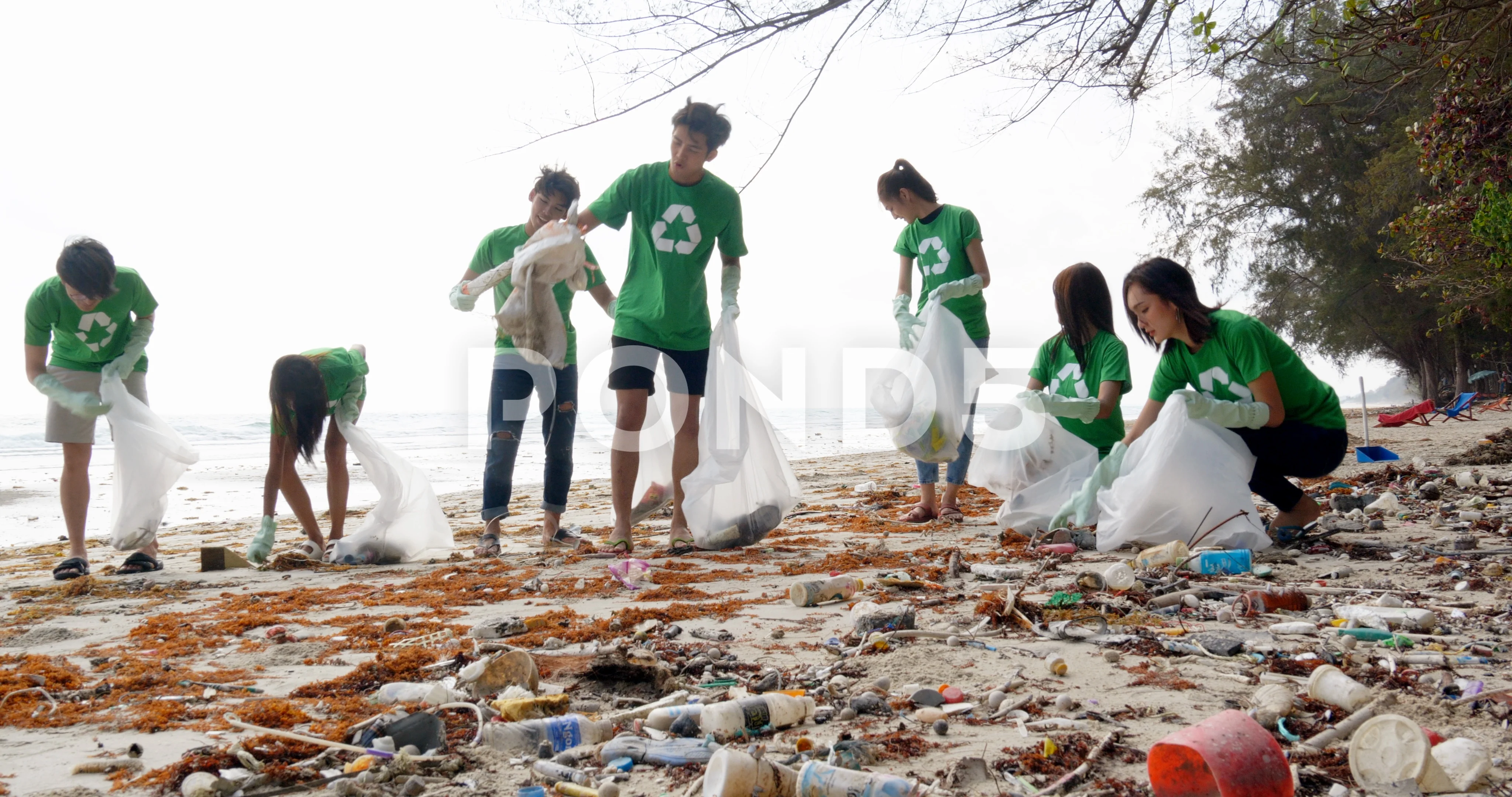 People Cleaning The Environment Hd